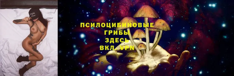 Галлюциногенные грибы Psilocybe  купить наркотик  Верхняя Пышма 